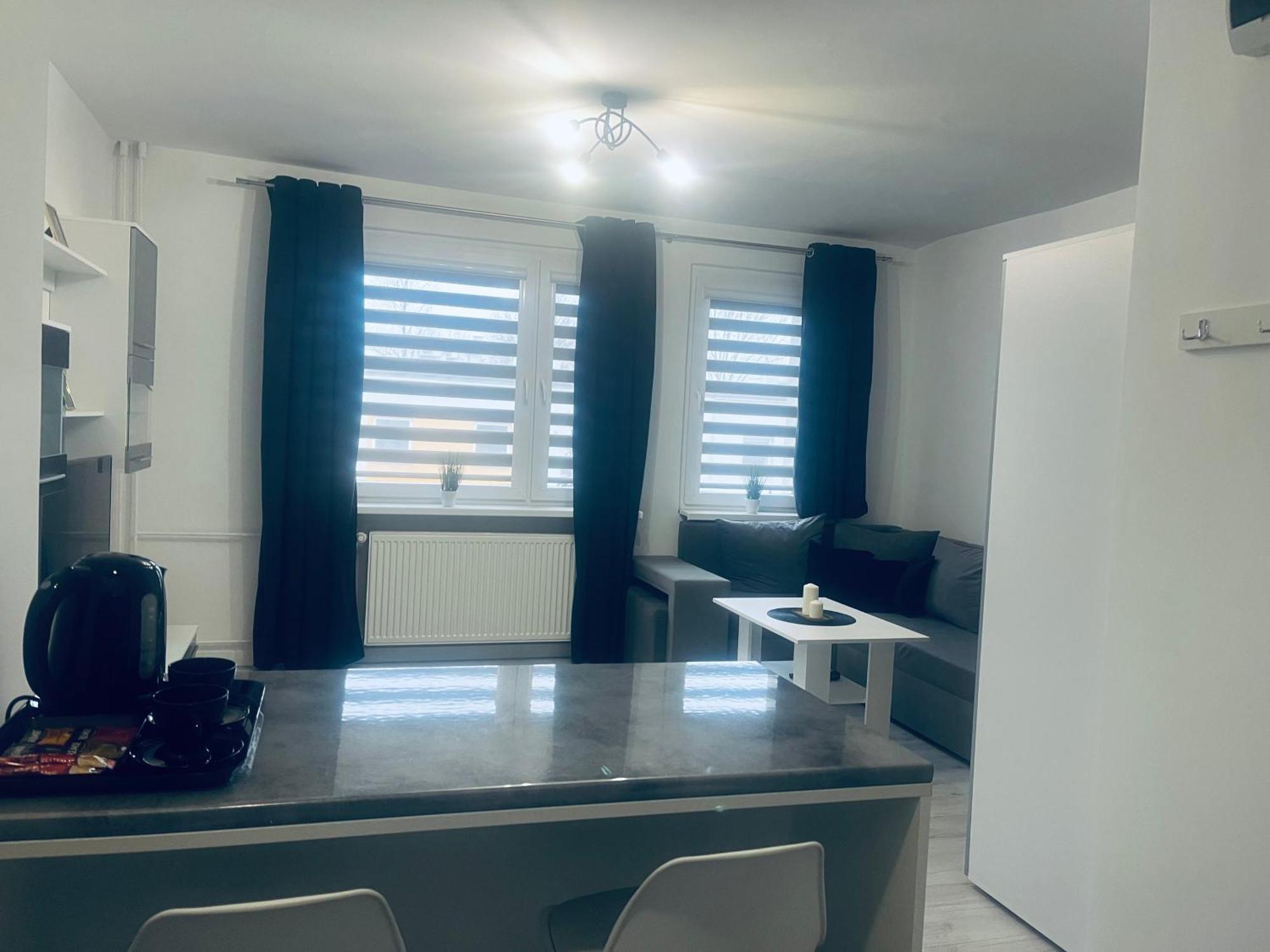 Silver Apartament Katowice Eksteriør billede